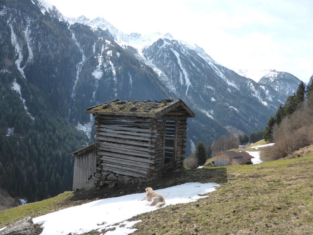 Pension Steinadler Neustift im Stubaital Extérieur photo